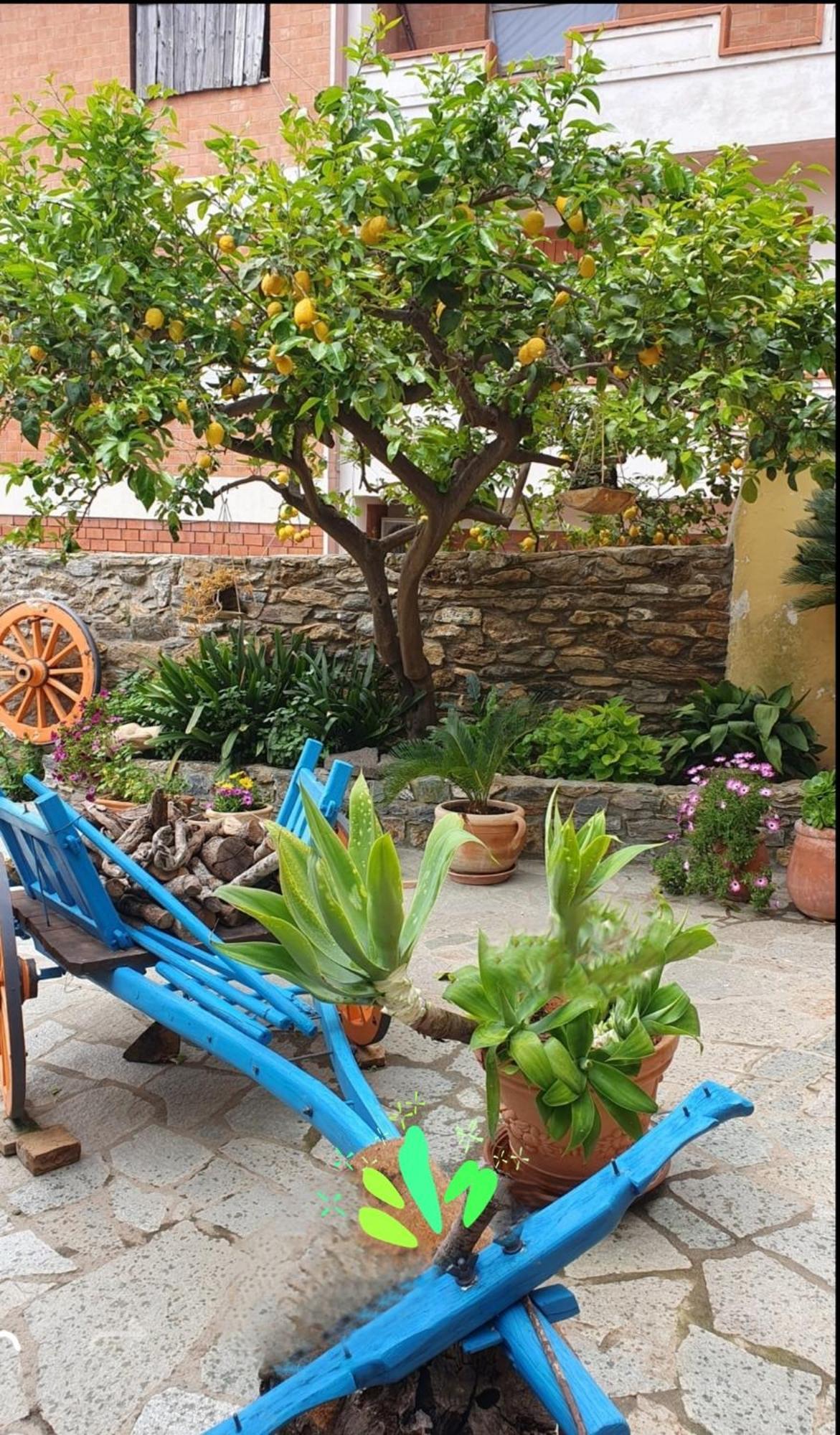 Su Carreri Bed & Breakfast Armungia ภายนอก รูปภาพ