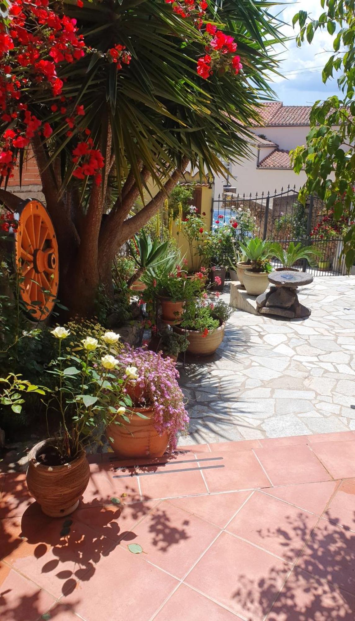 Su Carreri Bed & Breakfast Armungia ภายนอก รูปภาพ