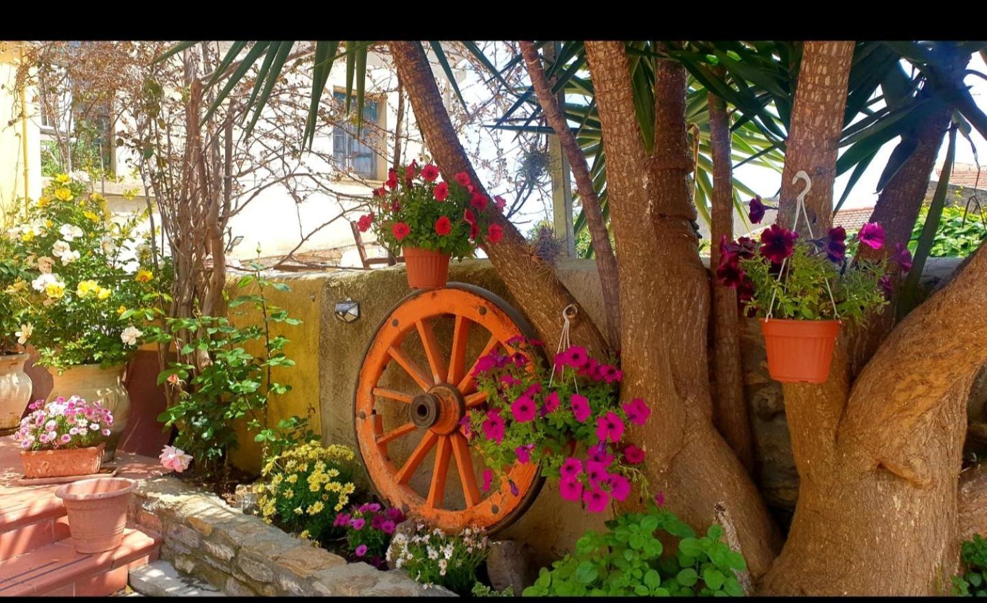 Su Carreri Bed & Breakfast Armungia ภายนอก รูปภาพ